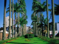 /album/galeria-de-fotos/joinville3-jpg/